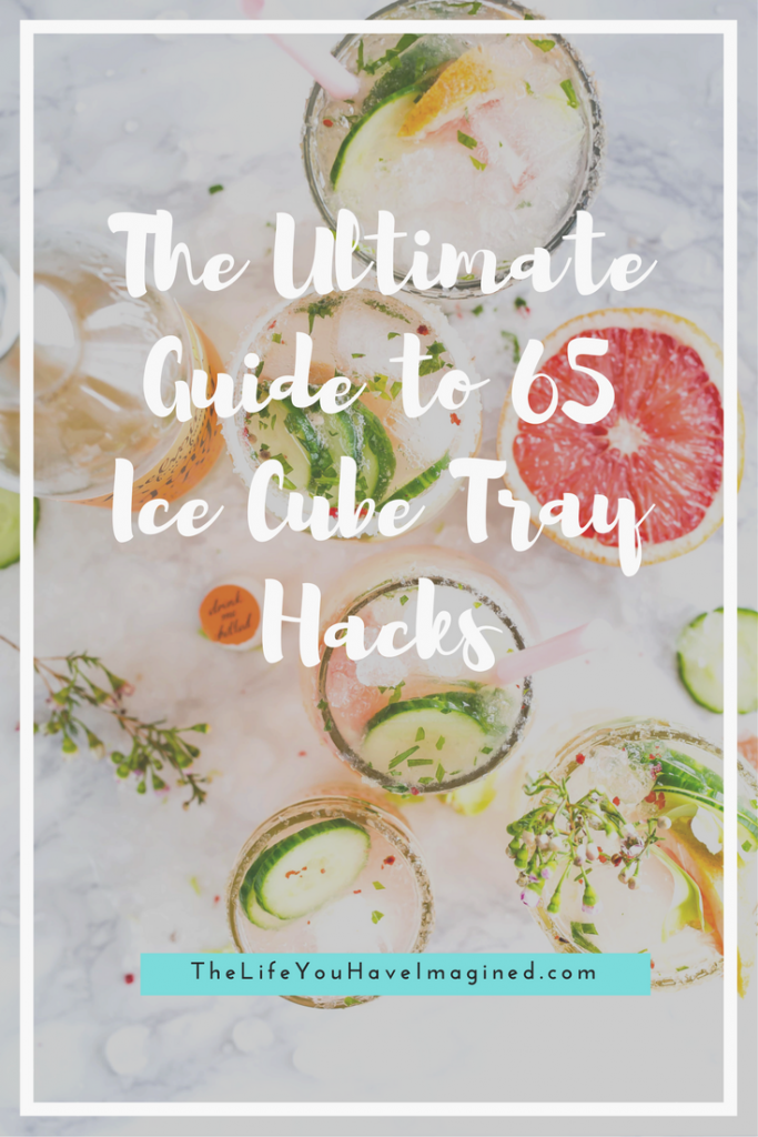 The Ultimate Guide to 65 Ice Cube Tray Hacks - from The Life You Have Imagined